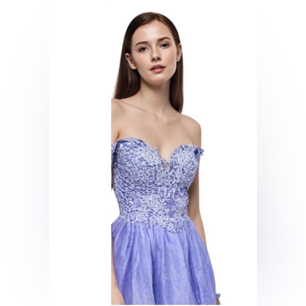Rianna Couture Damas Dress